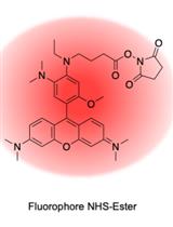 Synthesis and Purification of Lipid-conjugated Fluorescent pH Sensors