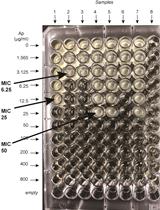 β-lactamase (Bla) Reporter-based System to Study Flagellar Type 3 Secretion in <em>Salmonella</em>