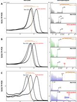 Triplet-primed PCR and Melting Curve Analysis for Rapid Molecular Screening of Spinocerebellar Ataxia Types 1, 2, and 3