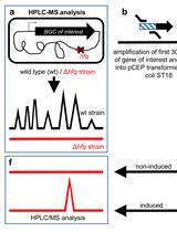 easyPACId, a Simple Method for Induced Production, Isolation, Identification, and Testing of Natural Products from Proteobacteria