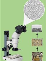 A Simple and Reproducible Stereomicroscopic Method to Assess Fungal Biofilms: Application to Antifungal Susceptibility Testing