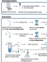 Lipidomics Workflow for Analyzing Lipid Profiles Using Multiple Reaction Monitoring (MRM) in Liver Homogenate of Mice with Non-alcoholic Steatohepatitis (NASH)
