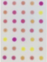 Qualitative and Quantitative Methods to Measure Antibacterial Activity Resulting from Bacterial Competition