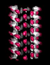 分段亚谱平均表征微管晶格异质性