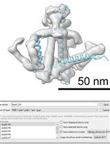 Protein Structure Predictions, Atomic Model Building, and Validation Using a Cryo-EM Density Map from Hepatitis B Virus Spherical Subviral Particle