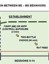 Binging from Food to Alcohol: A Sequential Interaction Between Binging Behaviors in Male Wistar Rats