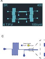 Fabrication of Microfluidic Devices for Continuously Monitoring Yeast Aging