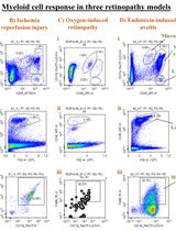 Multi-color Flow Cytometry Protocol to Characterize Myeloid Cells in Mouse Retina Research