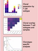 T Cell Clonal Analysis Using Single-cell RNA Sequencing and Reference Maps