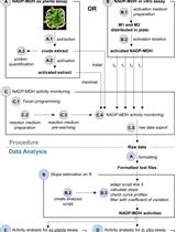 A Semi-throughput Procedure for Assaying Plant NADP-malate Dehydrogenase Activity Using a Plate Reader
