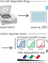 Functional Assay for Measuring Bacterial Degradation of Gemcitabine Chemotherapy