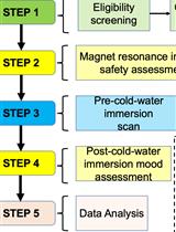 The Effects of Whole-body Cold-water Immersion on Brain Connectivity Related to the Affective State in Adults Using fMRI: A Protocol of a Pre-post Experimental Design