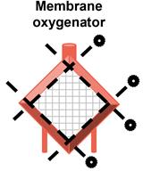 Quantitative Analysis of Clot Deposition on Extracorporeal Life Support Membrane Oxygenators Using Digital and Scanning Electron Microscopy Imaging Techniques