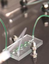 <sup>13</sup>CO<sub>2</sub>-labelling and Sampling in Algae for Flux Analysis of Photosynthetic and Central Carbon Metabolism