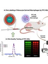 In vitro Quality Assessments of Perfluorocarbon Nanoemulsions for Near-infrared Fluorescence Imaging of Inflammation in Preclinical Models