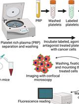 Microscopy and Plate Reader–based Methods for Monitoring the Interaction of Platelets and Tumor Cells in vitro