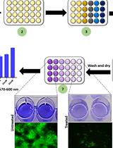 A Guideline for Assessment and Characterization of Bacterial Biofilm Formation in the Presence of Inhibitory Compounds