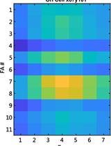 Studying Cellular Focal Adhesion Parameters with Imaging and MATLAB Analysis