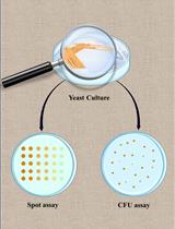 Spot Assay and Colony Forming Unit (CFU) Analyses–based sensitivity test for Candida albicans and Saccharomyces cerevisiae