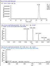 A New, Rapid Method for the Quantification of Dolichyl Phosphates in Cell Cultures Using TMSD Methylation Combined with LC–MS Analysis