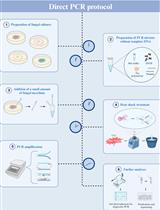 Detailed Protocol to Perform Direct PCR Using Filamentous Fungal Biomass—Tips and Considerations