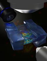 Correlative Light and Electron Cryo-Microscopy Workflow Combining Micropatterning, Ice Shield, and an In-Chamber Fluorescence Light Microscope