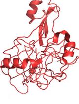 A Protocol to Depict the Proteolytic Processes Using a Combination of Metal–Organic Materials (MOMs), Electron Paramagnetic Resonance (EPR), and Mass Spectrometry (MS)