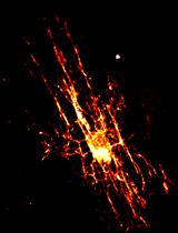 设计 CRISPRoff 平台以调节骨髓细胞白血病（MCL-1）在定向少突胶质细胞神经前体细胞中的表达