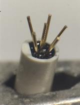 测量行为小鼠的心率