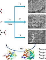 A Protocol for Custom Biomineralization of Enzymes in Metal–Organic Frameworks (MOFs)