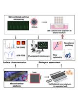 Unlocking Bio-Instructive Polymers: A Novel Multi-Well Screening Platform Based on Secretome Sampling