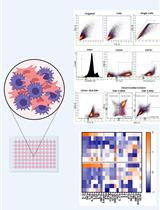 Mesenchymal Stromal Cell (MSC) Functional Analysis—Macrophage Activation and Polarization Assays