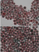 Method for Large-scale Production of hIPSC Spheroids