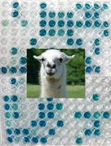 From Llama to Nanobody: A Streamlined Workflow for the Generation of Functionalised VHHs