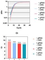 Updated Pseudo-seq Protocol for Transcriptome-Wide Detection of Pseudouridines