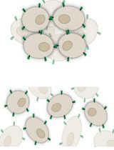 Reversible Photoregulation of Cell–Cell Adhesions With Opto-E-cadherin