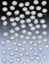 Isolation and Characterization of Extracellular Vesicles Derived from Ex Vivo Culture of Visceral Adipose Tissue