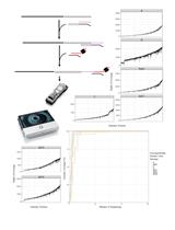 Direct RNA Sequencing of Foot-and-mouth Disease Virus Genome Using a Flongle on MinION