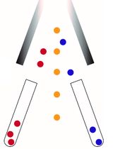 Isolation of Human Bone Marrow Non-hematopoietic Cells for Single-cell RNA Sequencing