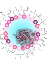 An NMR Approach for Investigating Membrane Protein–Lipid Interactions Using Native Reverse Micelles