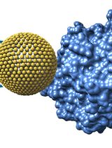 Microscale Thermophoresis (MST) as a Tool to Study Binding Interactions of Oxygen-Sensitive Biohybrids