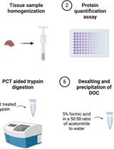 Chloroform/Methanol Protein Extraction and In-solution Trypsin Digestion Protocol for Bottom-up Proteomics Analysis