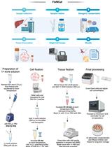 FixNCut：单细胞检测样本可逆固定保存实用指南
