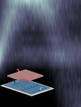 Multiplexed Microfluidic Platform for Parallel Bacterial Chemotaxis Assays