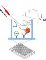 In Vitro GT-array (<em>i</em>-GT-ray), a Platform for Screening of Glycosyltransferase Activities and Protein–Protein Interactions