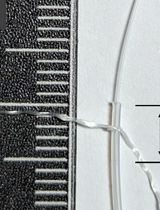 Mouse Renal Artery Catheterization for Local Delivery of Drugs in Capsulated or Free Forms
