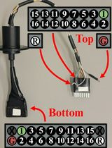 A Real-Time Approach for Assessing Rodent Engagement in a Nose-Poking Go/No-Go Behavioral Task Using ArUco Markers
