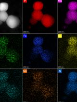 Optimized Isolation of Lysosome-Related Organelles from Stationary Phase and Iron-Overloaded Chlamydomonas reinhardtii Cells