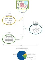 A Simple, Rapid, and Cost-Effective Method for Assessing Carbohydrate Partitioning in Microalgae and Arabidopsis thaliana