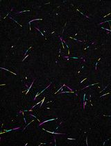 Preparation of Polarity-Marked Microtubules Using a Plus-End Capping DARPin